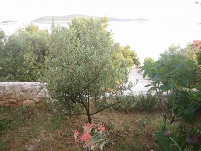 Apartments Mil - 80M From The Sea Sevid Bagian luar foto